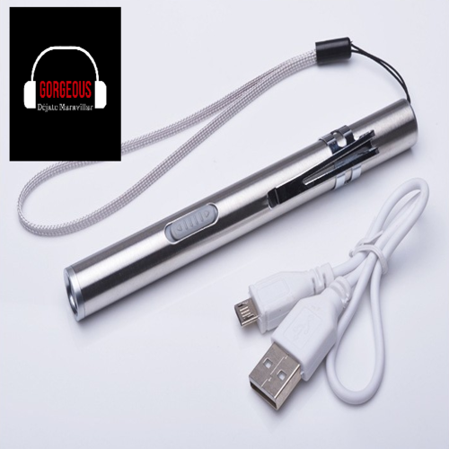 Mini linterna médica recargable por USB, linterna médica pequeña, práctica  linterna LED de bolsillo con clip de acero inoxidable para estudiantes de