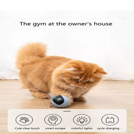 Juguete Interactivo Para Gatos y Perros Bola Giratoria Led de colores recargable USB