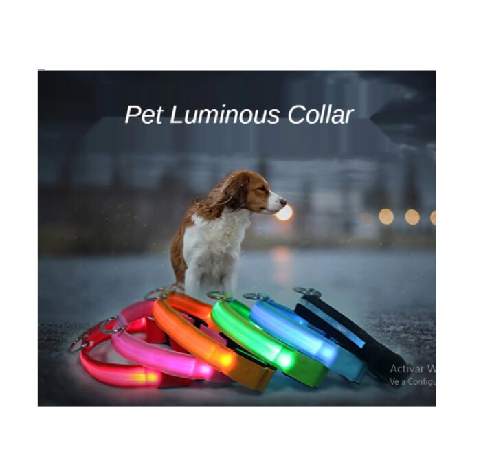 3 Collar led Cinturon al cuello perros