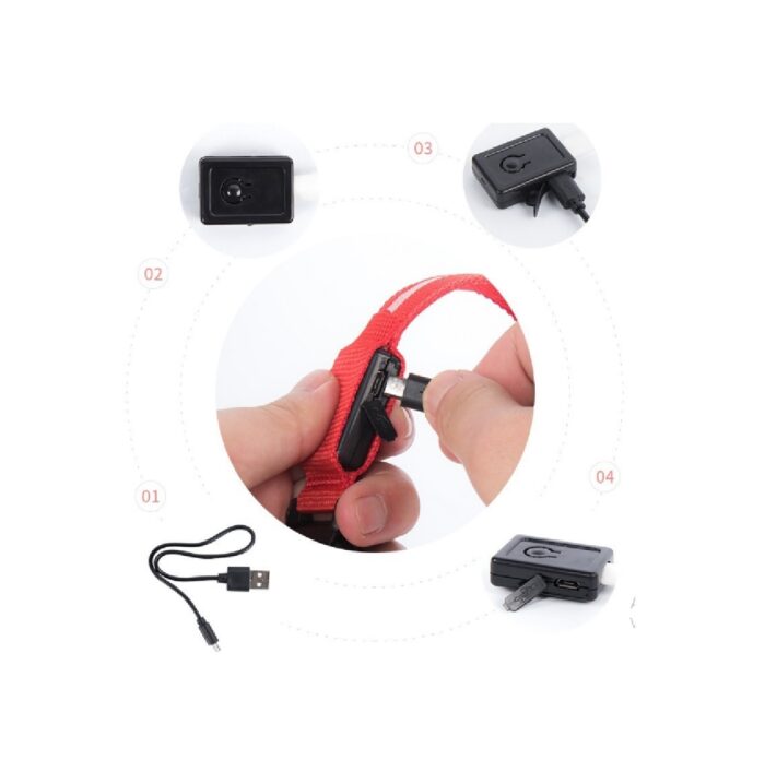 5 Collar led Cinturon al cuello perros