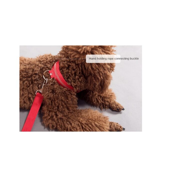 6 Collar led Cinturon al cuello perros